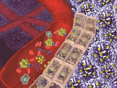 Smart Nanodrug Combats Resistance