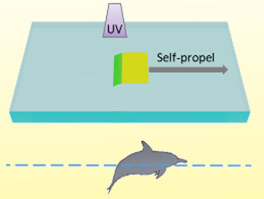 Light-Controlled Polymer Swims Like a Dolphin