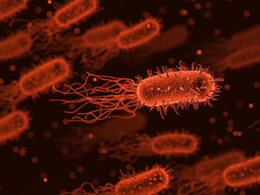 Bacterial Membranes Influence Antibiotic Resistance