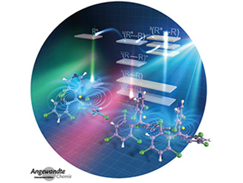 Angewandte Chemie 9/2019: The Fundamental Pillar