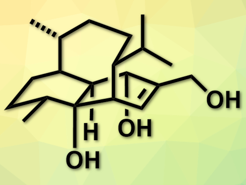 Scalable Total Synthesis of (−)-Vinigrol