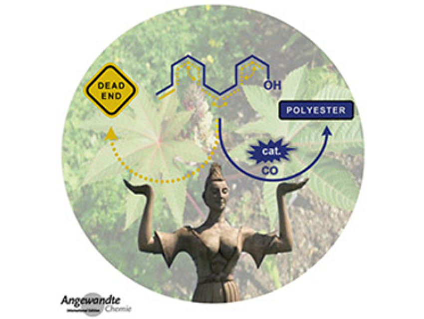 Angewandte Chemie 11/2019: Controlling Reactions