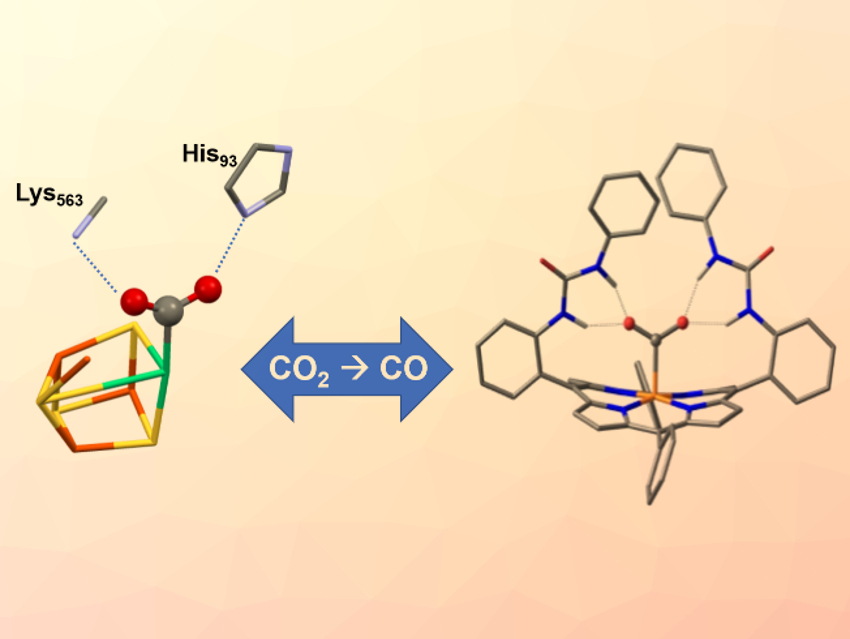 Improved Carbon Dioxide Reduction