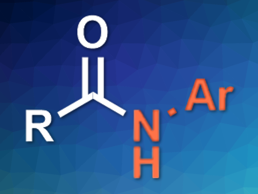 Nitroarenes as Amino Sources for Amide Synthesis