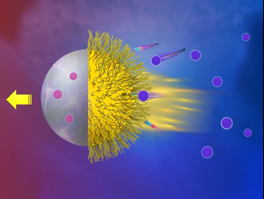 Micromotors Driven by a Phase Transition