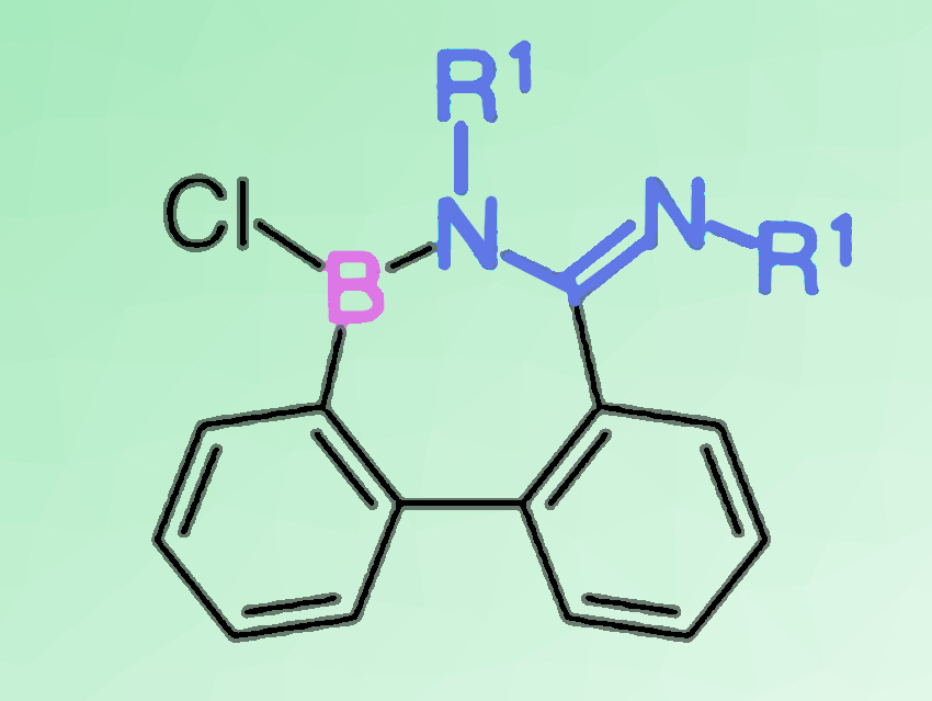 Cyclic Borane-Amidine Conjugated Molecules