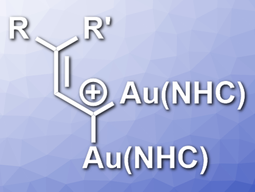 1,1-Digoldallylium Complexes