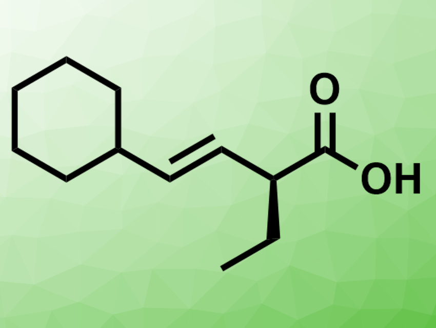 Lithium Amides as Noncovalent Chiral Auxiliaries