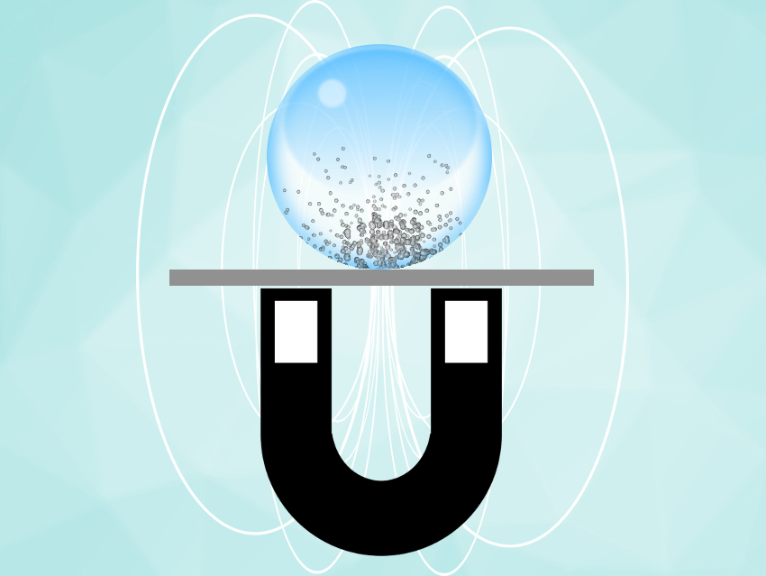 Shaping Superparamagnetic Nanoparticles