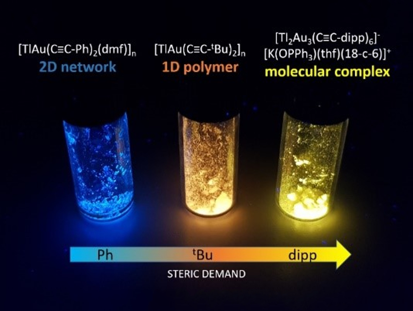 From 2D Metallopolymers to Molecular Complexes