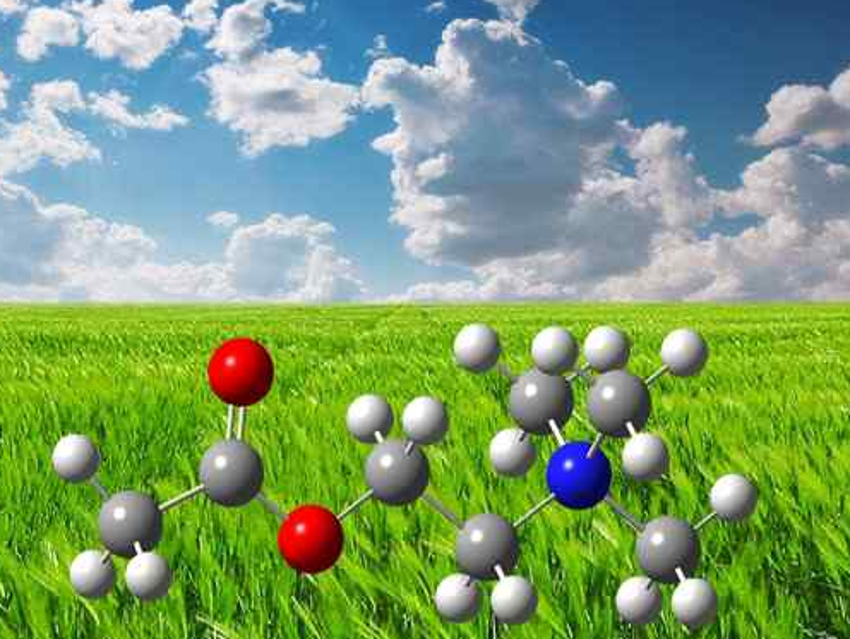 Herbicidal Ionic Liquids