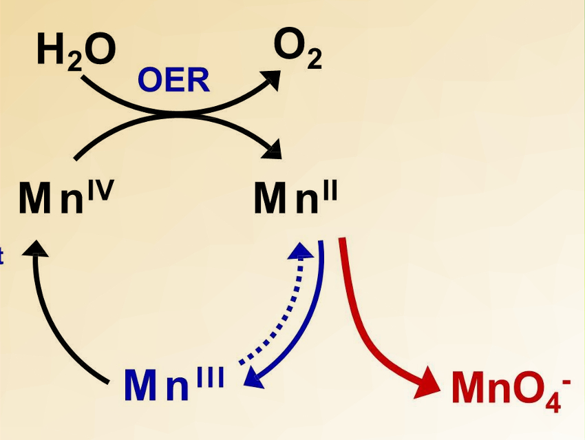 Water Electrolysis with Earth-Abundant Elements