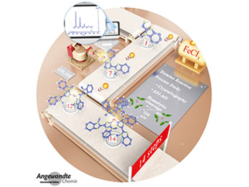 Angewandte Chemie 12/2019: Understanding Reactions