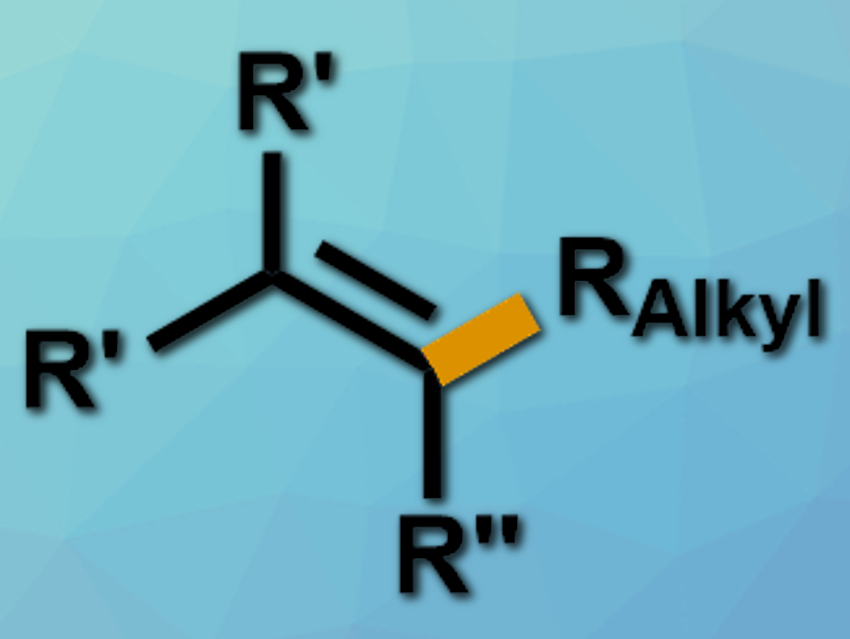 Iron-Catalyzed Cross-Coupling of Alkyllithium and Alkenyl Iodides