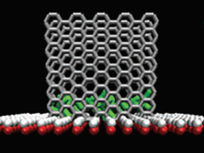 Improving Antibacterial Peptides with Graphene Oxide