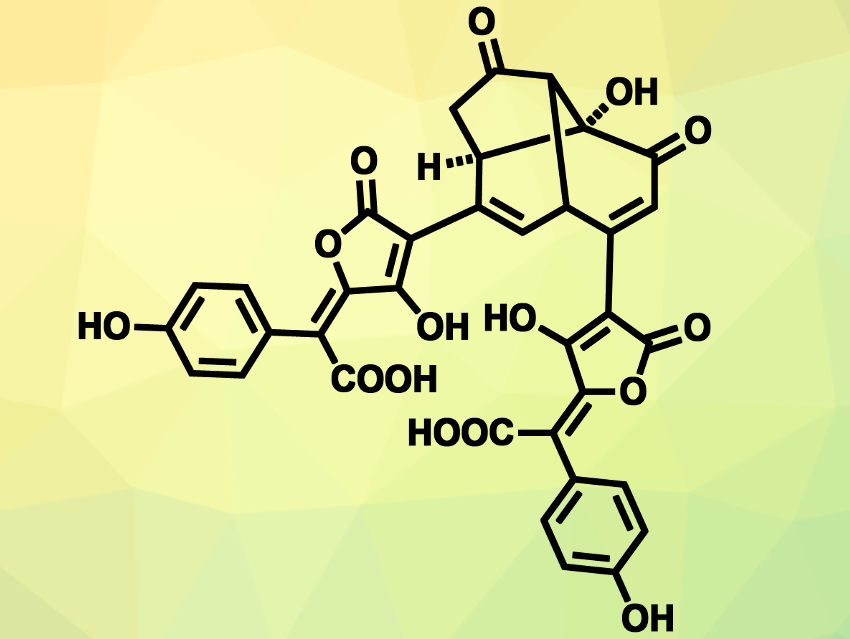 First Total Synthesis of Chalcitrin