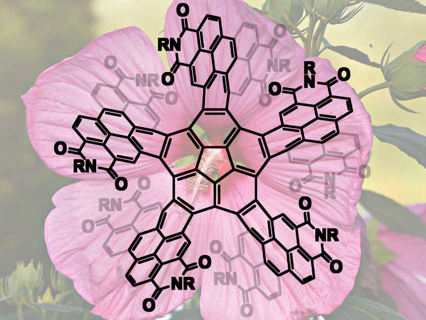 Graphenoid Shaped Like a Five-Petaled Flower