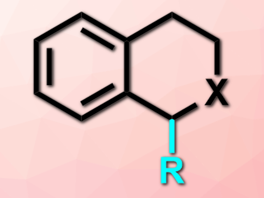 Efficient Alkylation of Tetrahydroisoquinolines and Isochroman