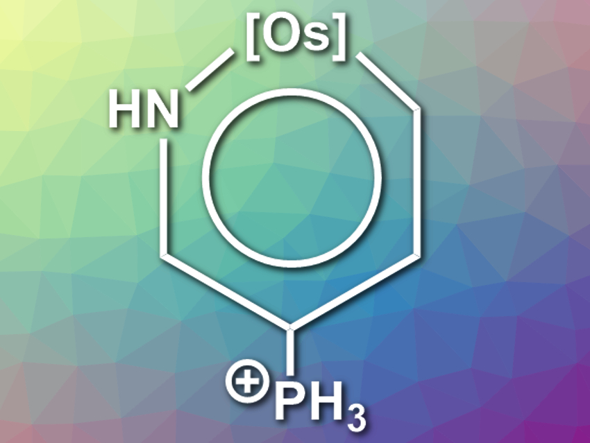 Dual Aromaticity in Both the Ground and the Excited State