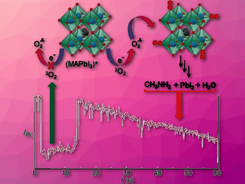 Preventing Lead Halide Perovskite Degradation