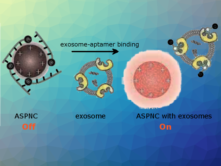 Luminescent Nanosensor for Exosome Detection