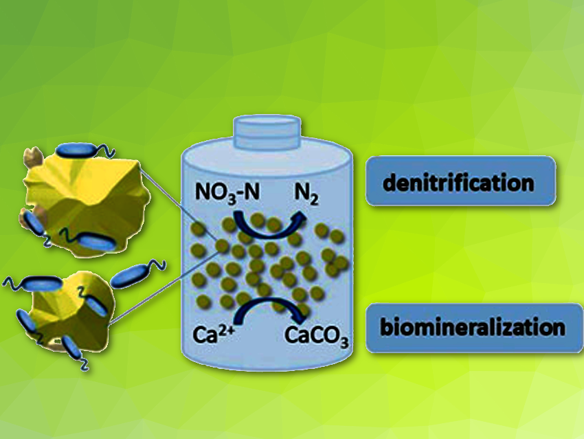 Simultaneous Nitrate and Hardness Removal from WasteWater