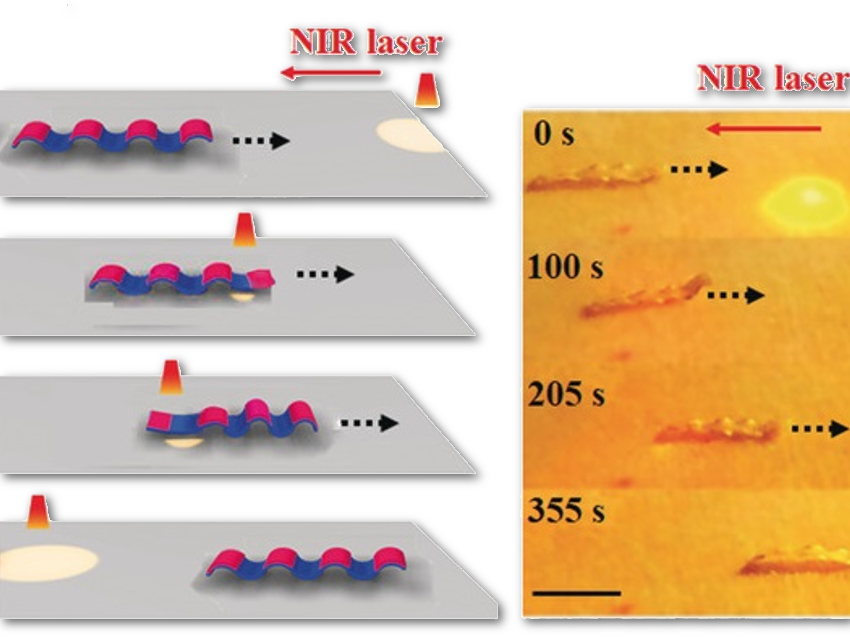 Changeable Light-Fueled Microrobots