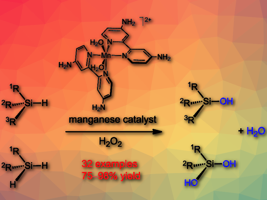 Oxidative Synthesis of Silanols