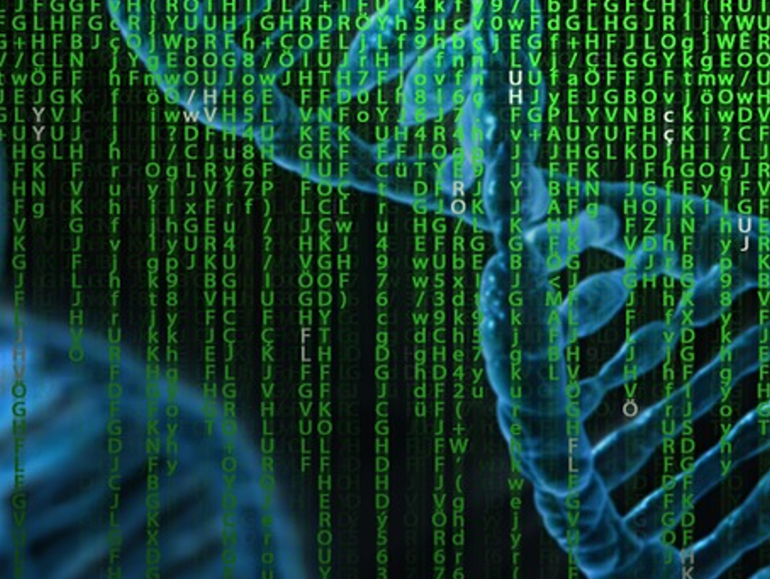 Synthetic Genome of a New Bacterial Species