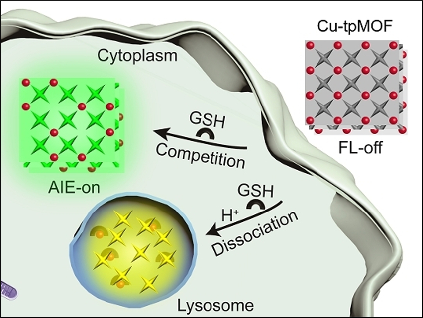 Probing Glutathione in Cells Using Metal-Organic Frameworks