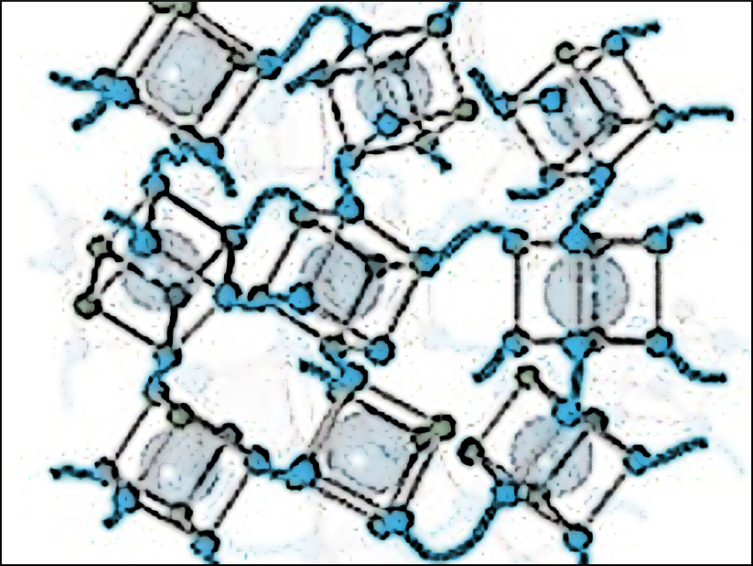 Metal-Organic Polymers for Gas Sorption