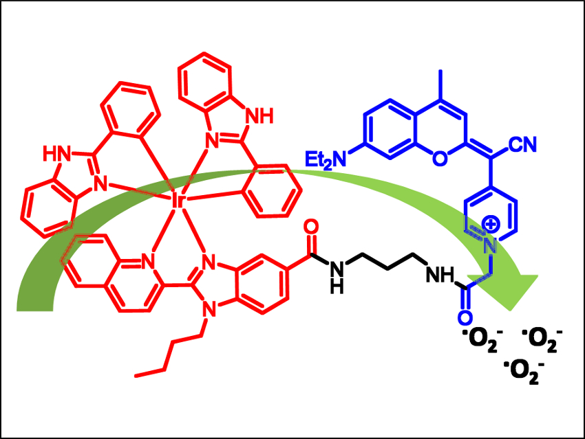 Iridium-Coumarin Anticancer Conjugates