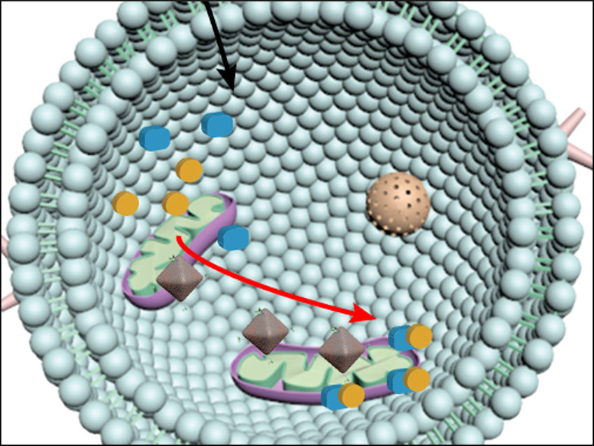 Localized Drug Synthesis Inside Cells