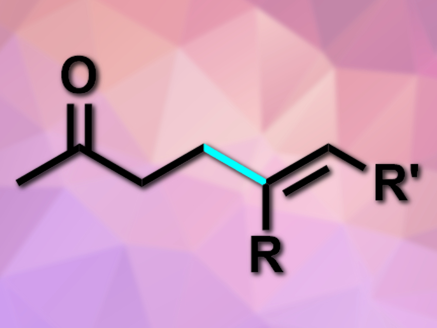 Direct β-Alkenylation of Ketones