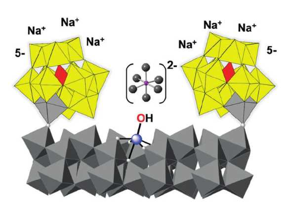 Water Oxidation by a Soluble Metal Oxide