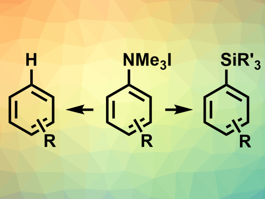 Ligand-Controlled Reduction of Aryl Ammonium Salts