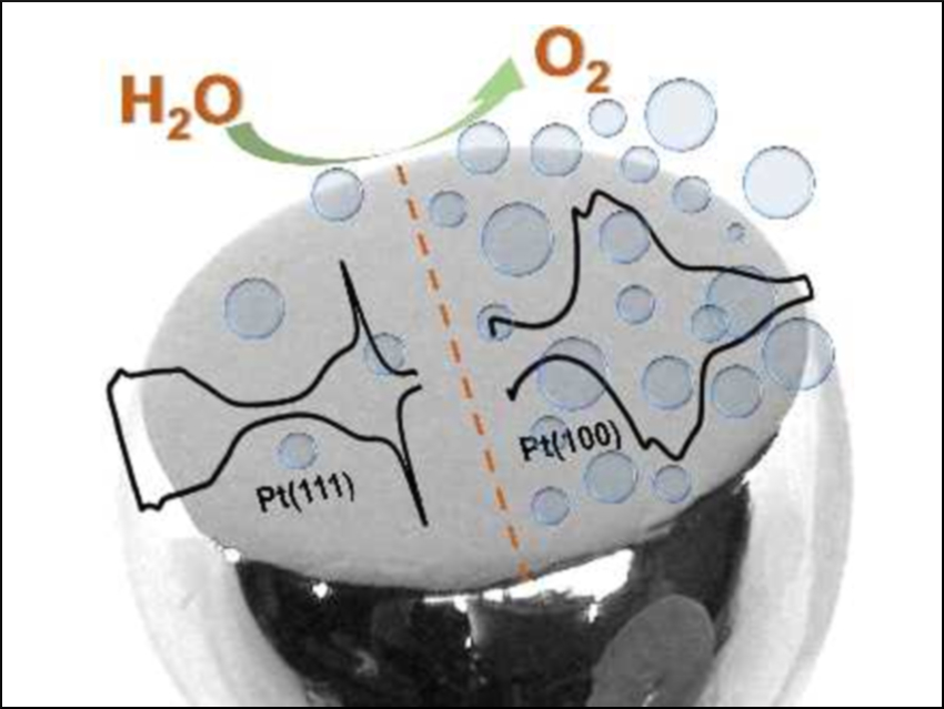 Platinum Oxide Phases Affect Oxygen Evolution Performance