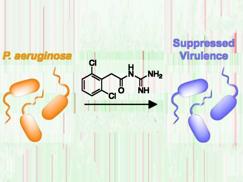 Disarming Resistant Bacteria with a Hypertension Drug