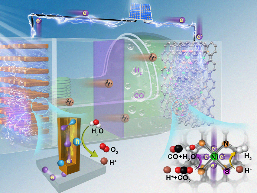 Carbon Dioxide Reduction Inspired by Nature