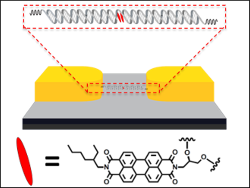 Electrical Wires Made from DNA