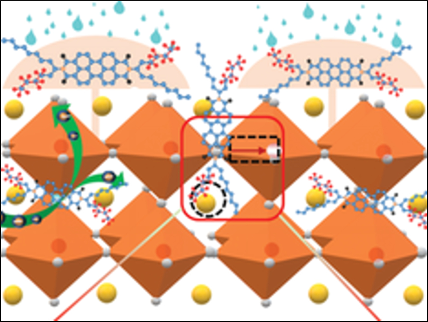 Perovskite Solar Cells with Improved Stability