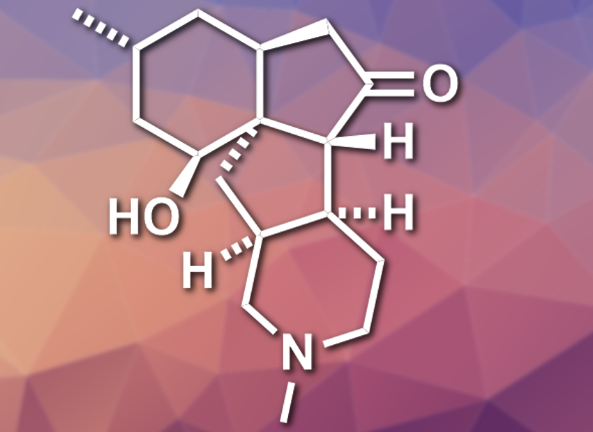 Concise Total Synthesis of (+)-Paniculatine