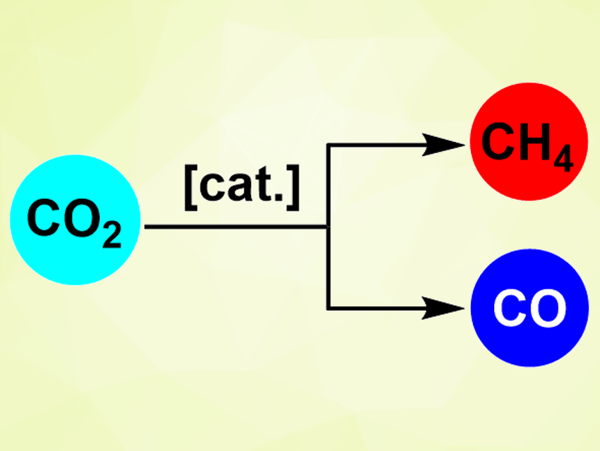 Change in Catalyst Support Can Switch Reactivity