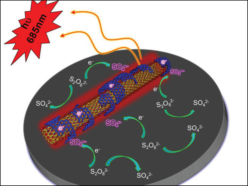 Strong Electrochemiluminescence in Carbon Nanotubes