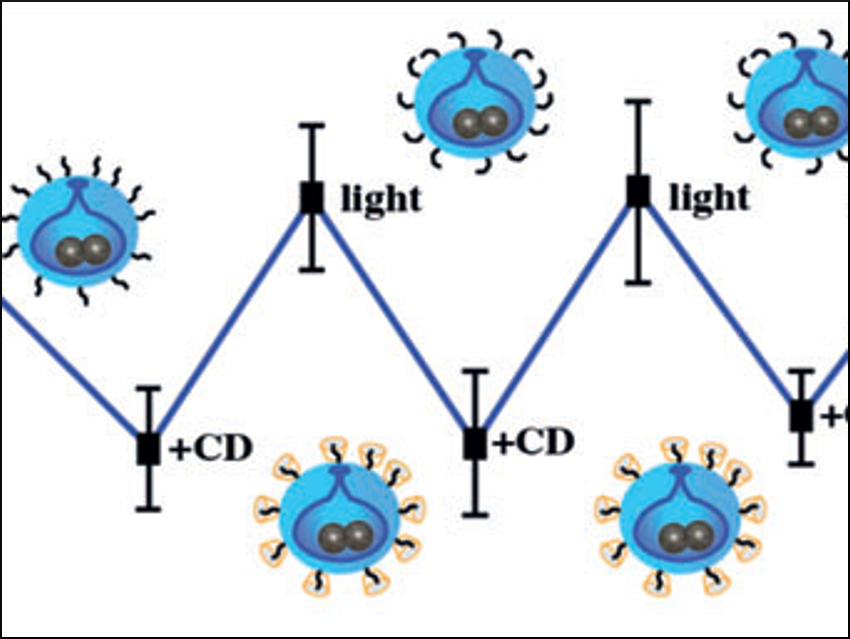 Supramolecular Valves for Nanomotors