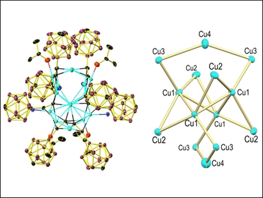 Monocarborane Copper(I) Acetylides