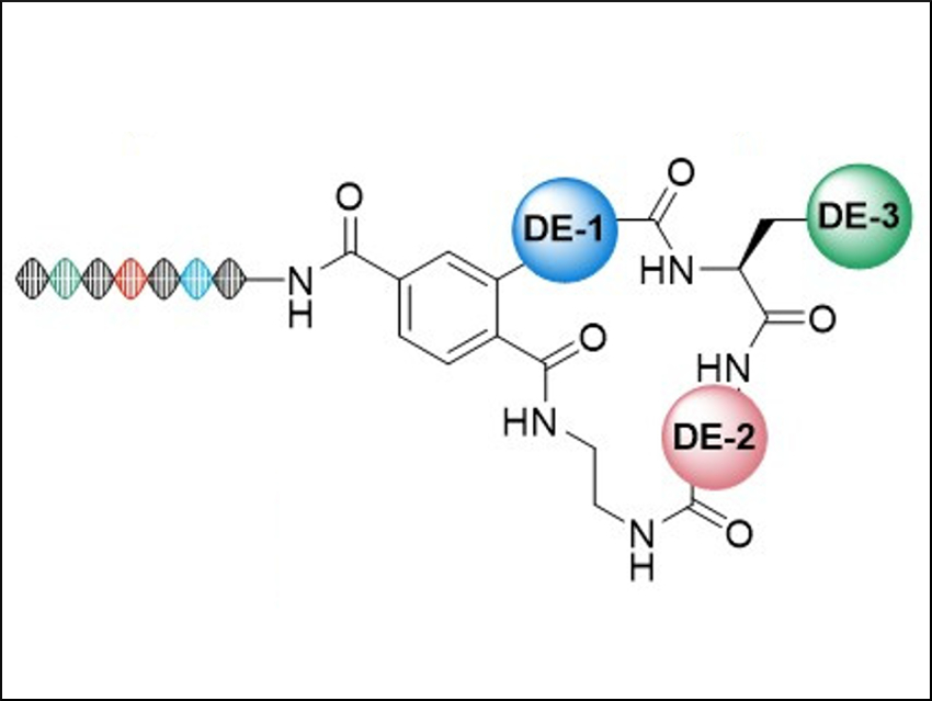 DNA Barcodes Help to Screen Drug Candidates