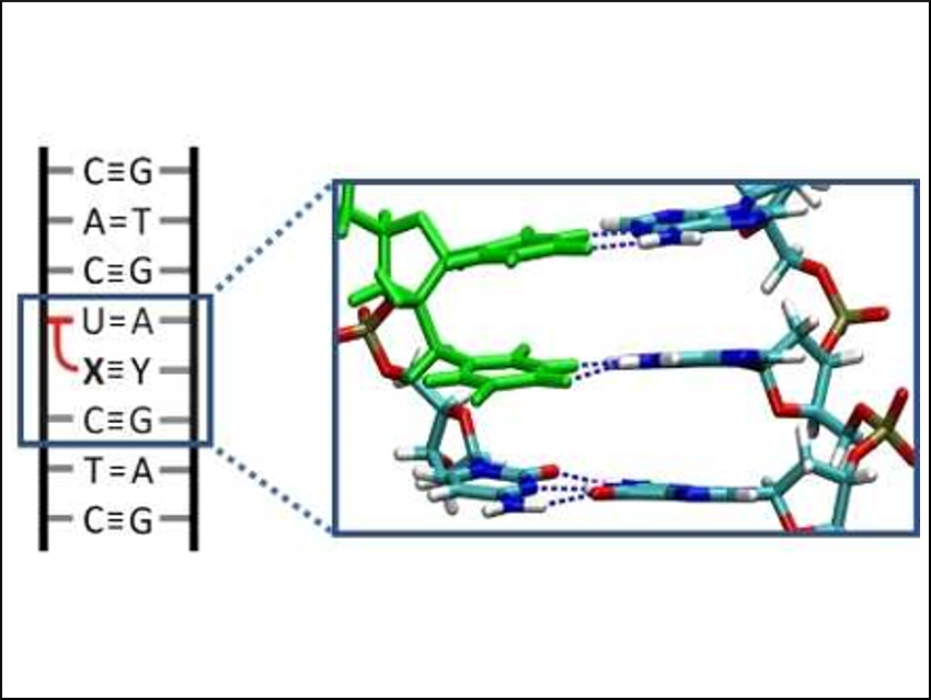 Greater Information Storage in Synthesized DNA