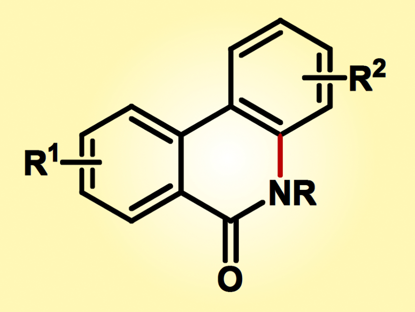 Transition-Metal-Free Synthesis of Phenanthridinones