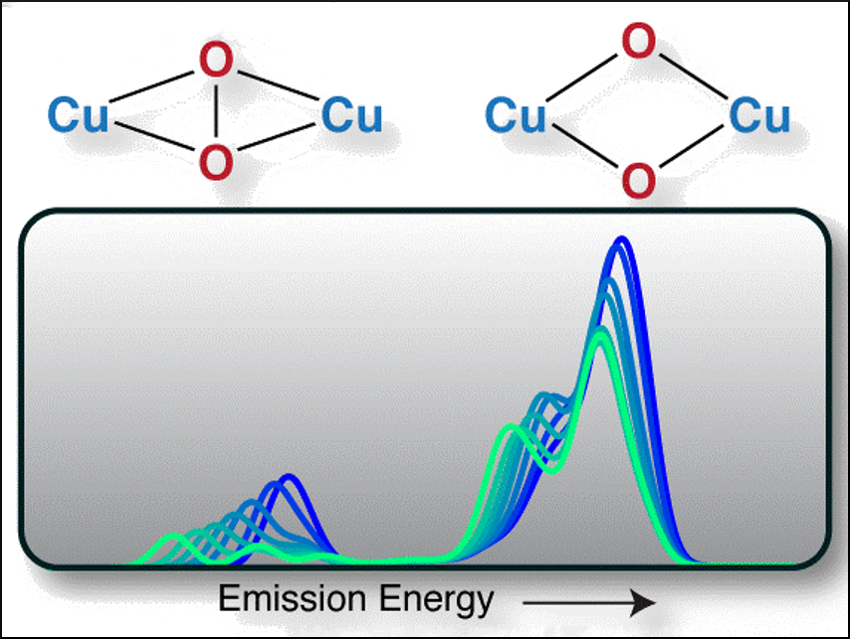 Spectroscopic Insights into O2 Activation